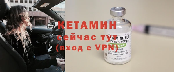 сатива Карпинск