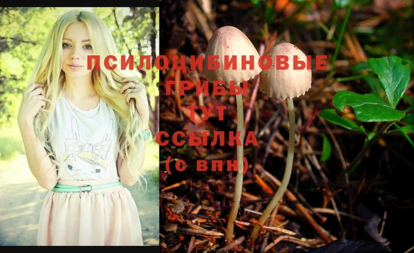a pvp Вяземский