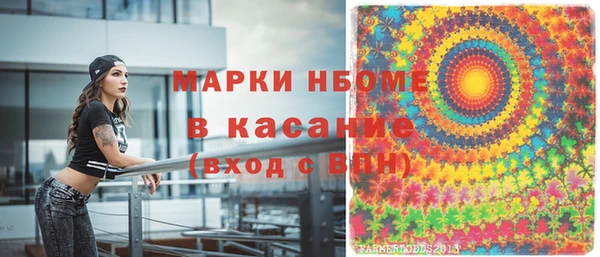 сатива Карпинск