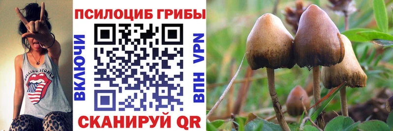 Галлюциногенные грибы ЛСД  ссылка на мегу tor  Каменка 