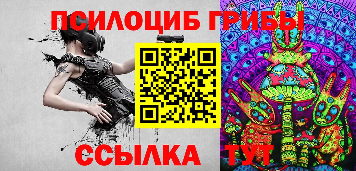 Псилоцибиновые грибы мицелий  Вход с VPN  Каменка  Галлюциногенные грибы MAGIC MUSHROOMS 